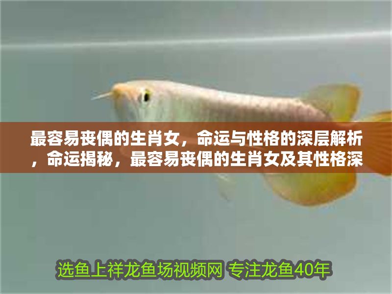 最容易喪偶的生肖女，命運與性格的深層解析，命運揭秘，最容易喪偶的生肖女及其性格深層解析