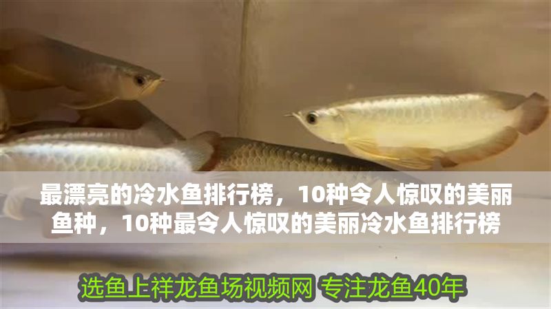 最漂亮的冷水魚排行榜，10種令人驚嘆的美麗魚種，10種最令人驚嘆的美麗冷水魚排行榜