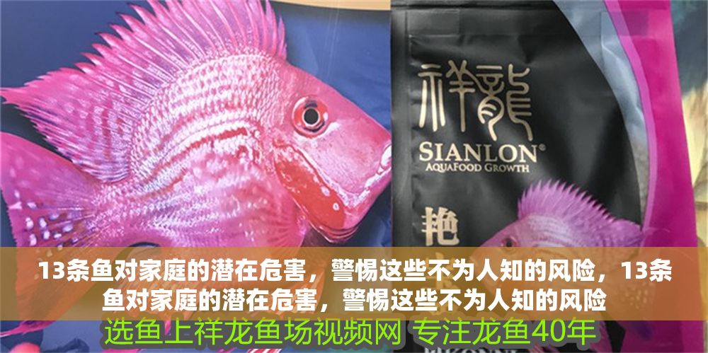 13條魚對家庭的潛在危害，警惕這些不為人知的風(fēng)險(xiǎn)，13條魚對家庭的潛在危害，警惕這些不為人知的風(fēng)險(xiǎn)