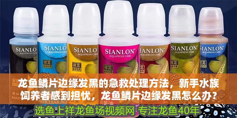 龍魚鱗片邊緣發(fā)黑的急救處理方法，新手水族飼養(yǎng)者感到擔憂，龍魚鱗片邊緣發(fā)黑怎么辦？