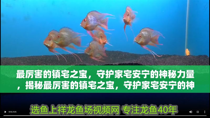 最厲害的鎮宅之寶，守護家宅安寧的神秘力量，揭秘最厲害的鎮宅之寶，守護家宅安寧的神秘力量