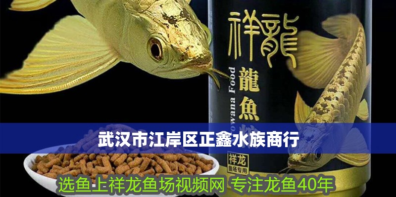 武漢市江岸區正鑫水族商行