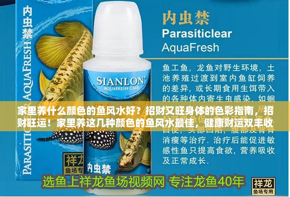 家里養(yǎng)什么顏色的魚風(fēng)水好？招財(cái)又旺身體的色彩指南，招財(cái)旺運(yùn)！家里養(yǎng)這幾種顏色的魚風(fēng)水最佳，健康財(cái)運(yùn)雙豐收