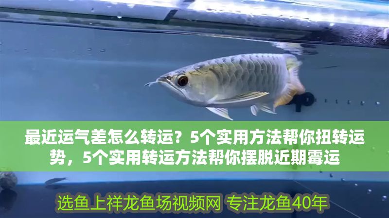 最近運氣差怎么轉運？5個實用方法幫你扭轉運勢，5個實用轉運方法幫你擺脫近期霉運 最近運氣差怎么轉運？5個實用方法幫你扭轉運勢，5個實用轉運方法幫你擺脫近期霉運 龍魚百科 第1張