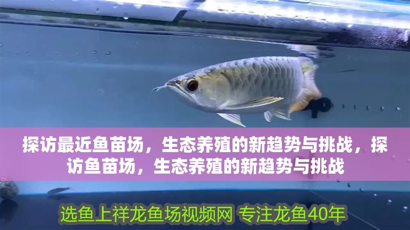 探訪最近魚苗場，生態養殖的新趨勢與挑戰，探訪魚苗場，生態養殖的新趨勢與挑戰