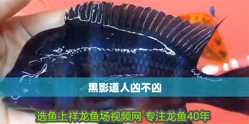 黑影道人兇不兇
