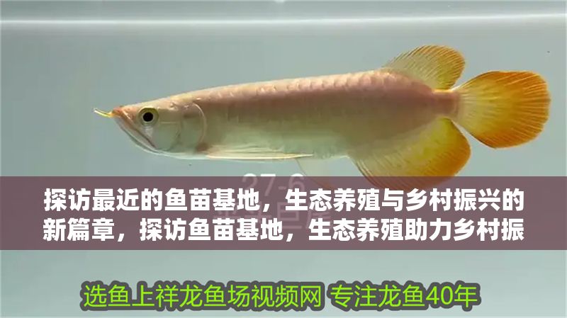 探訪最近的魚苗基地，生態(tài)養(yǎng)殖與鄉(xiāng)村振興的新篇章，探訪魚苗基地，生態(tài)養(yǎng)殖助力鄉(xiāng)村振興