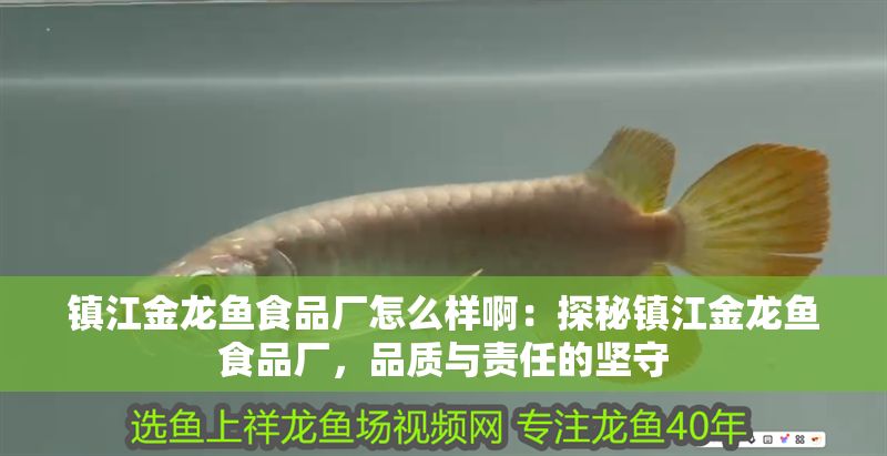 鎮江金龍魚食品廠怎么樣啊：探秘鎮江金龍魚食品廠，品質與責任的堅守