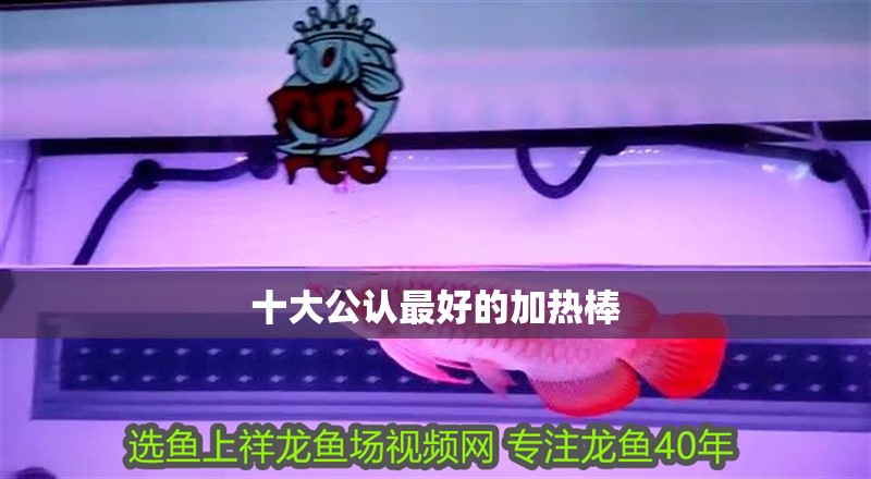 十大公認最好的加熱棒