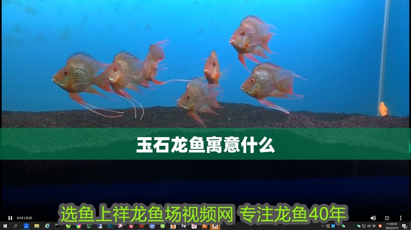 玉石龍魚寓意什么