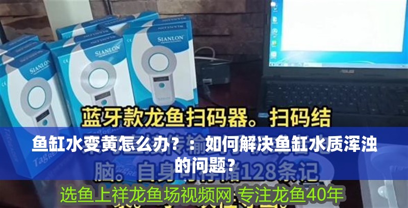 魚缸水變黃怎么辦？：如何解決魚缸水質(zhì)渾濁的問題？