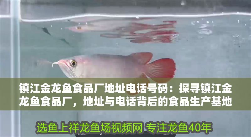 鎮江金龍魚食品廠地址電話號碼：探尋鎮江金龍魚食品廠，地址與電話背后的食品生產基地