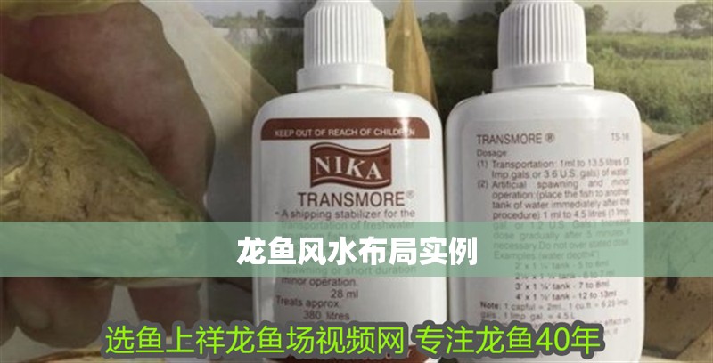 龍魚(yú)風(fēng)水布局實(shí)例