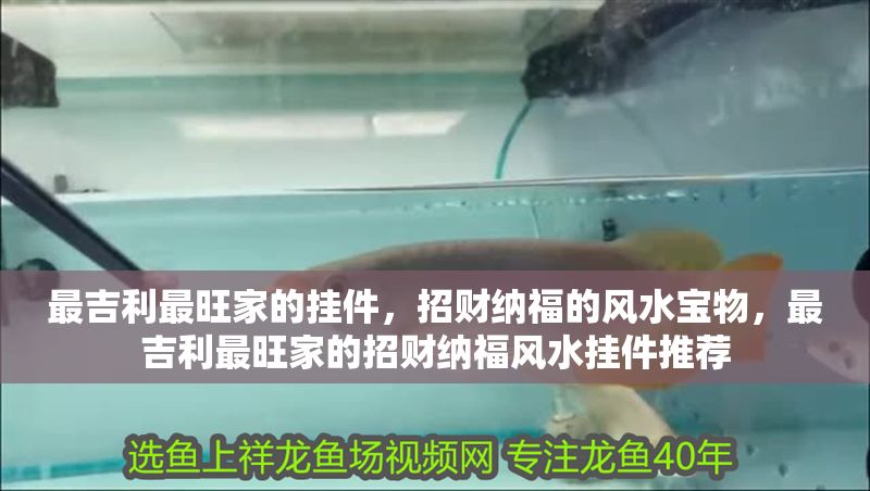 最吉利最旺家的掛件，招財納福的風水寶物，最吉利最旺家的招財納福風水掛件推薦
