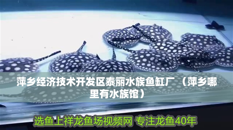 萍鄉經濟技術開發區泰麗水族魚缸廠 （萍鄉哪里有水族館）