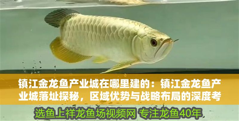 鎮(zhèn)江金龍魚產(chǎn)業(yè)城在哪里建的：鎮(zhèn)江金龍魚產(chǎn)業(yè)城落址探秘，區(qū)域優(yōu)勢與戰(zhàn)略布局的深度考量