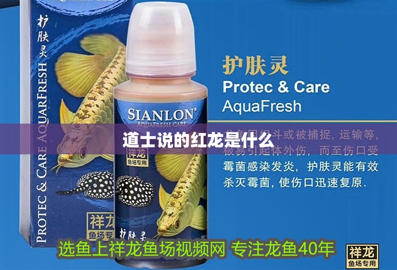 道士說的紅龍是什么 道士說的紅龍是什么 龍魚論壇