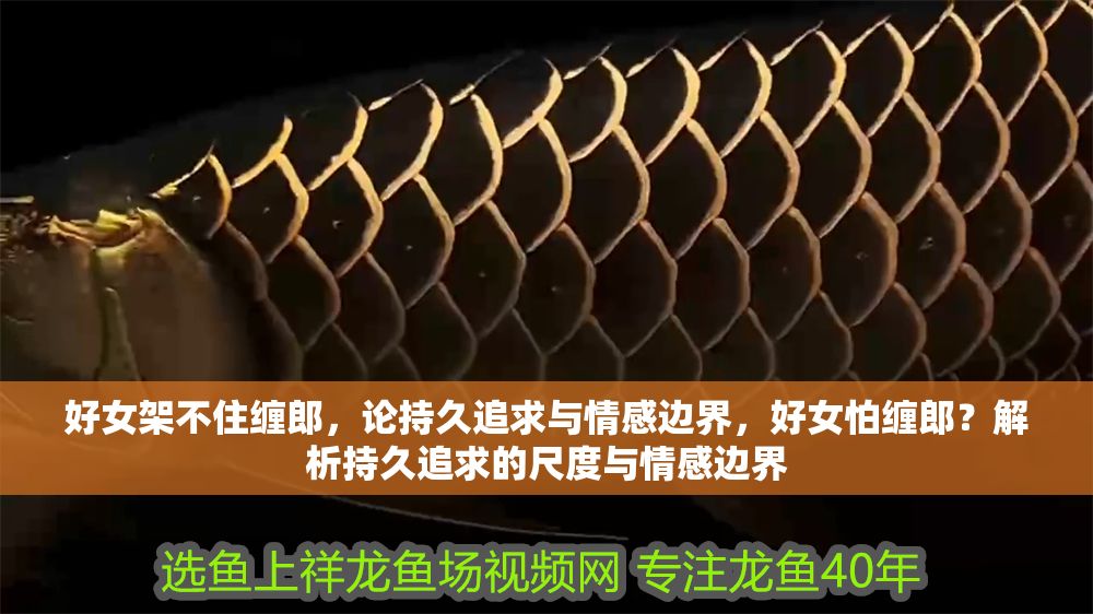 好女架不住纏郎，論持久追求與情感邊界，好女怕纏郎？解析持久追求的尺度與情感邊界