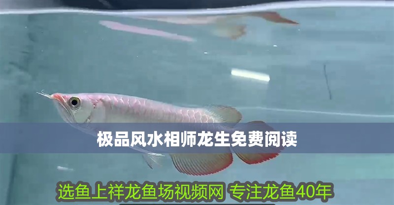 極品風水相師龍生免費閱讀
