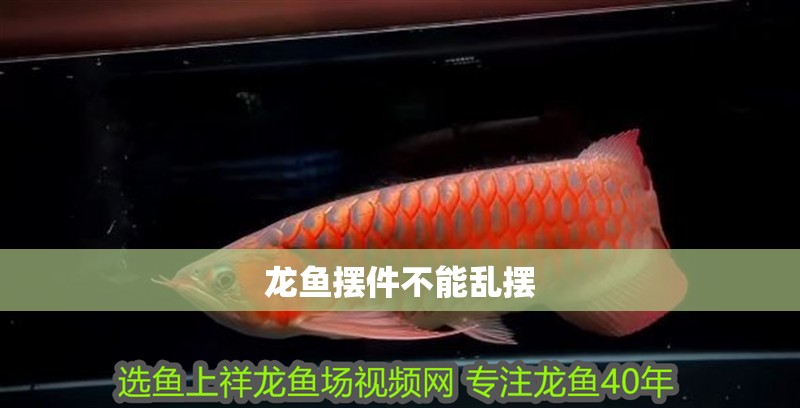 龍魚擺件不能亂擺