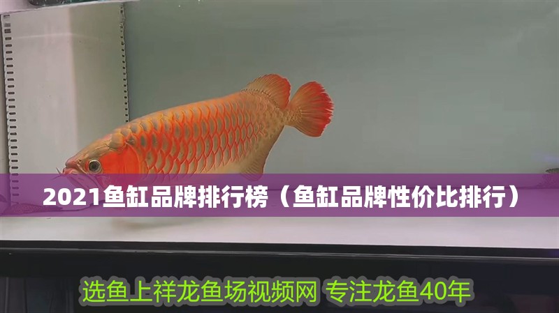 2021魚缸品牌排行榜（魚缸品牌性價比排行）