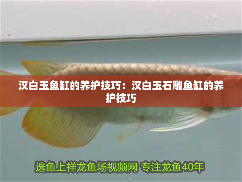 漢白玉魚缸的養護技巧：漢白玉石雕魚缸的養護技巧