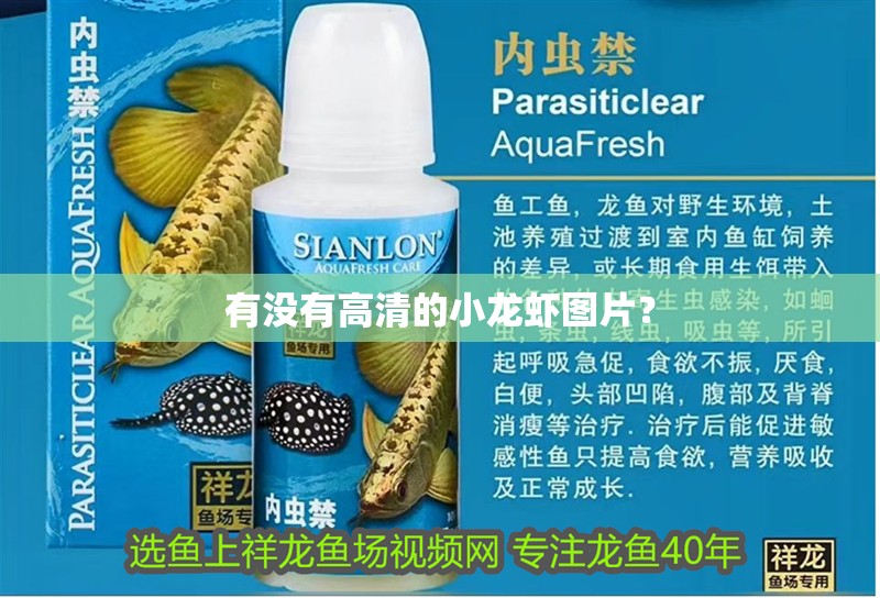 有沒有高清的小龍蝦圖片？