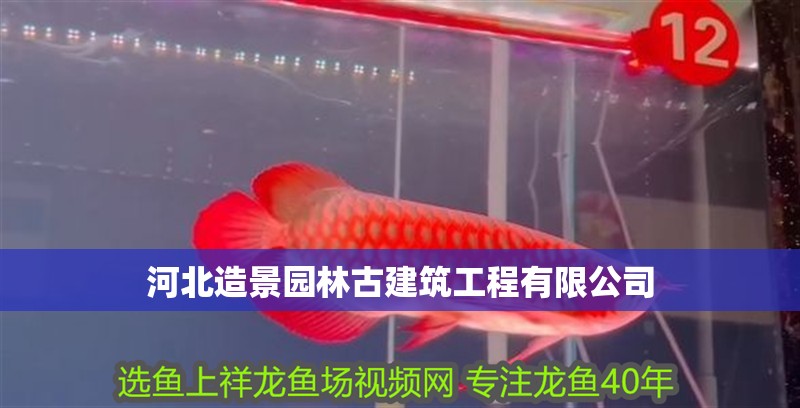 河北造景園林古建筑工程有限公司