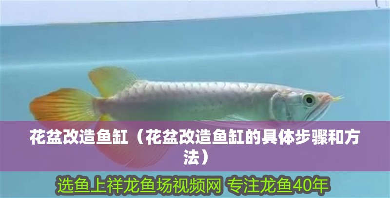 魚缸造景先放沙還是先放水(魚缸造景先鋪沙還是先放石頭) 花盆改造魚缸(花盆改造魚缸的具體步驟和方法) 魚缸百科 花盆改造魚缸(花盆改造魚缸的具體步驟和方法) 花盆改造魚缸(花盆改造魚缸的具體步驟和方法) 魚缸百科