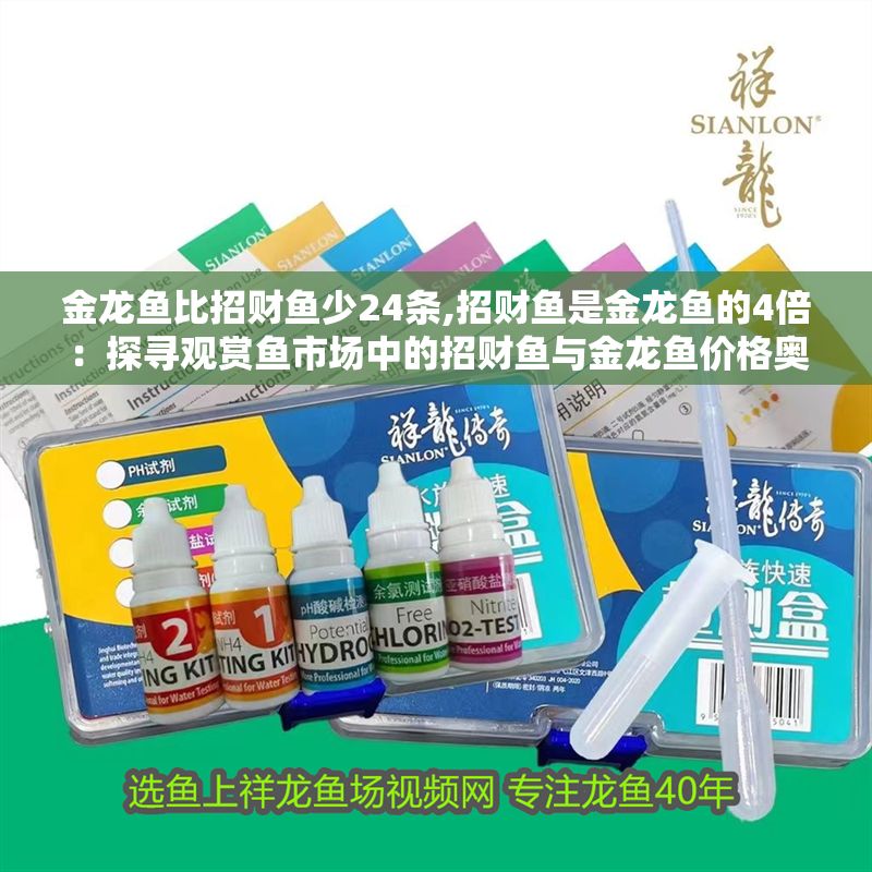金龍魚比招財魚少24條,招財魚是金龍魚的4倍：探尋觀賞魚市場中的招財魚與金龍魚價格奧秘