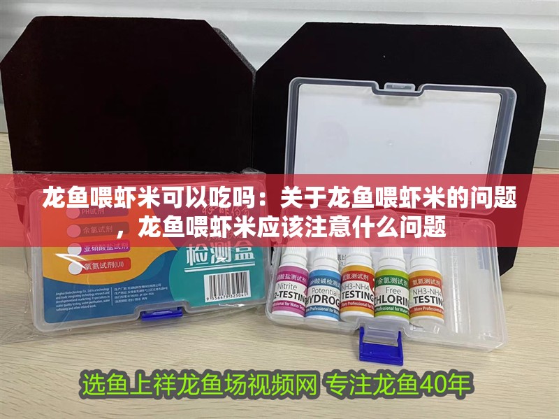 龍魚喂蝦米可以吃嗎：關于龍魚喂蝦米的問題，龍魚喂蝦米應該注意什么問題