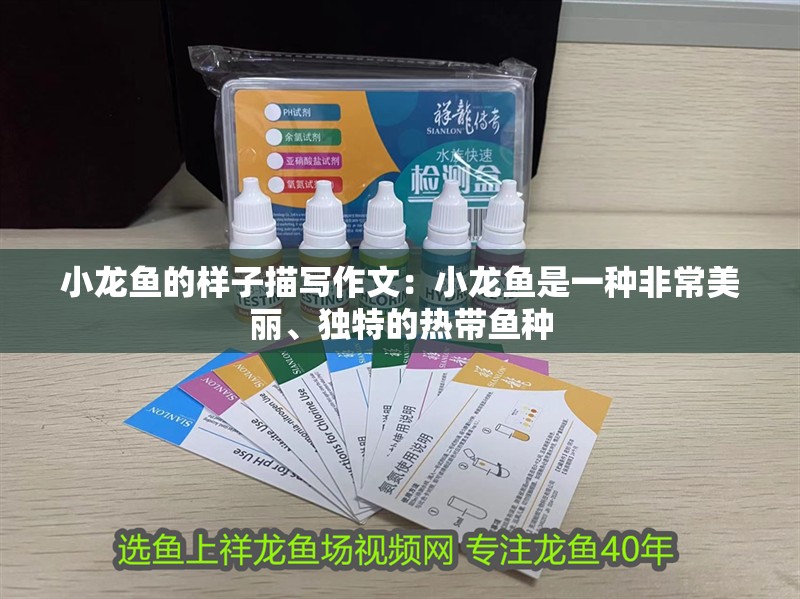 小龍魚的樣子描寫作文：小龍魚是一種非常美麗、獨特的熱帶魚種
