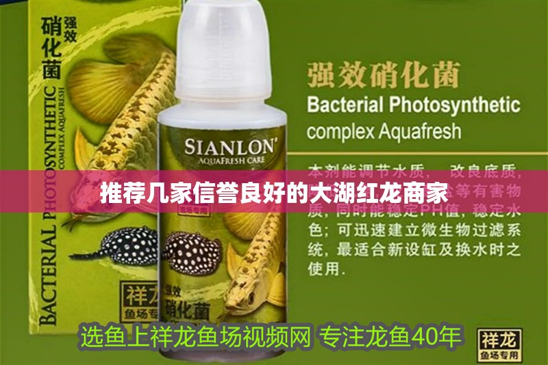 推薦幾家信譽(yù)良好的大湖紅龍商家