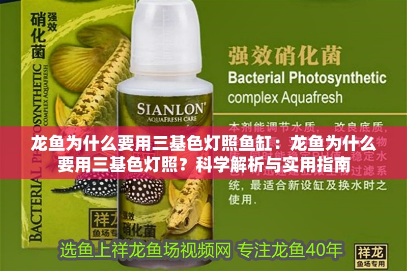 龍魚為什么要用三基色燈照魚缸：龍魚為什么要用三基色燈照？科學(xué)解析與實(shí)用指南