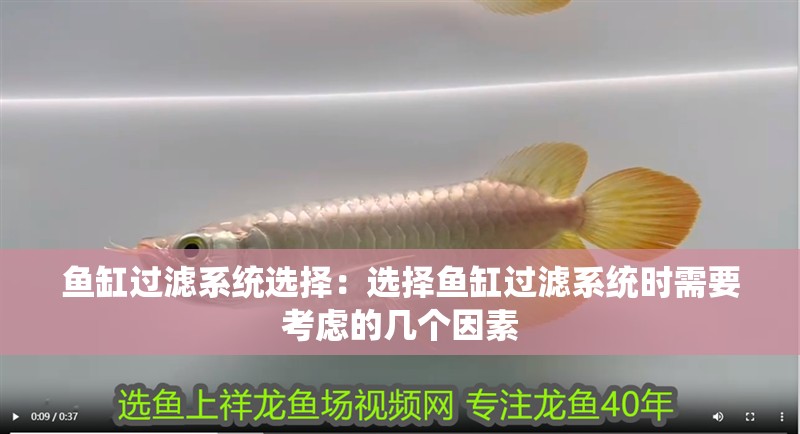 魚缸過濾系統(tǒng)選擇：選擇魚缸過濾系統(tǒng)時(shí)需要考慮的幾個(gè)因素