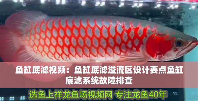 魚缸底濾視頻：魚缸底濾溢流區設計要點魚缸底濾系統故障排查