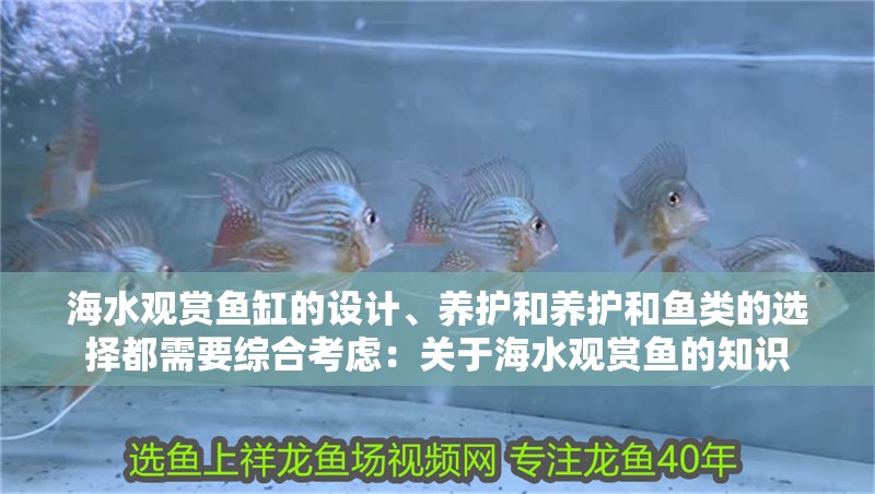 海水觀賞魚缸的設計、養護和養護和魚類的選擇都需要綜合考慮：關于海水觀賞魚的知識