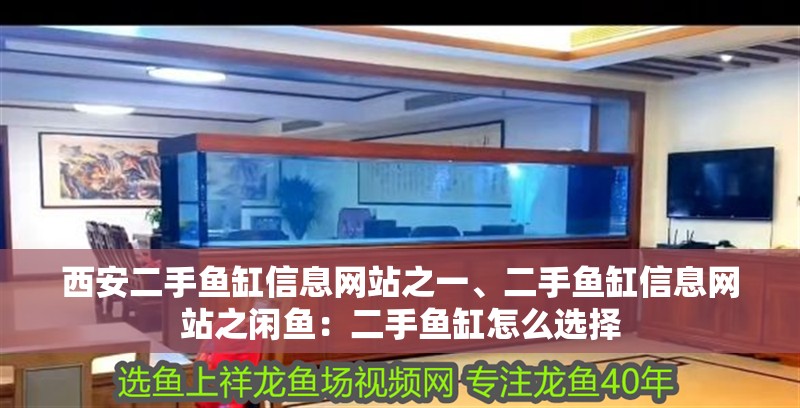 西安二手魚缸信息網(wǎng)站之一、二手魚缸信息網(wǎng)站之閑魚：二手魚缸怎么選擇