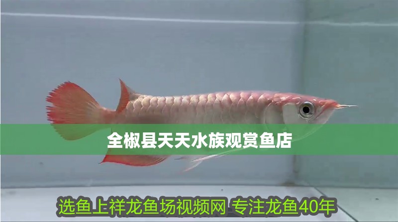 <strong><mark>全椒</mark></strong>縣天天水族觀賞魚店