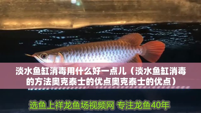 淡水魚缸消毒用什么好一點兒（淡水魚缸消毒的方法奧克泰士的優點奧克泰士的優點）
