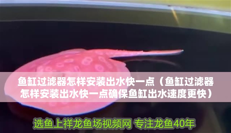 魚缸過濾器怎樣安裝出水快一點（魚缸過濾器怎樣安裝出水快一點確保魚缸出水速度更快）