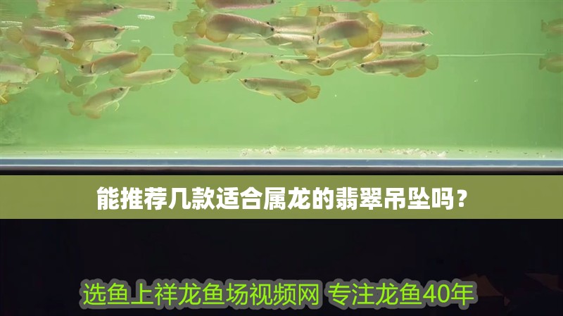 能推薦幾款適合屬龍的翡翠吊墜嗎？