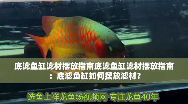 底濾魚缸濾材擺放指南底濾魚缸濾材擺放指南：底濾魚缸如何擺放濾材？