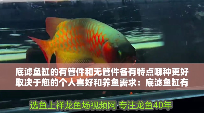 底濾魚缸的有管件和無管件各有特點哪種更好取決于您的個人喜好和養魚需求：底濾魚缸有管件和無管件各有特點