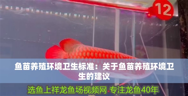 魚苗養(yǎng)殖環(huán)境衛(wèi)生標(biāo)準(zhǔn)：關(guān)于魚苗養(yǎng)殖環(huán)境衛(wèi)生的建議