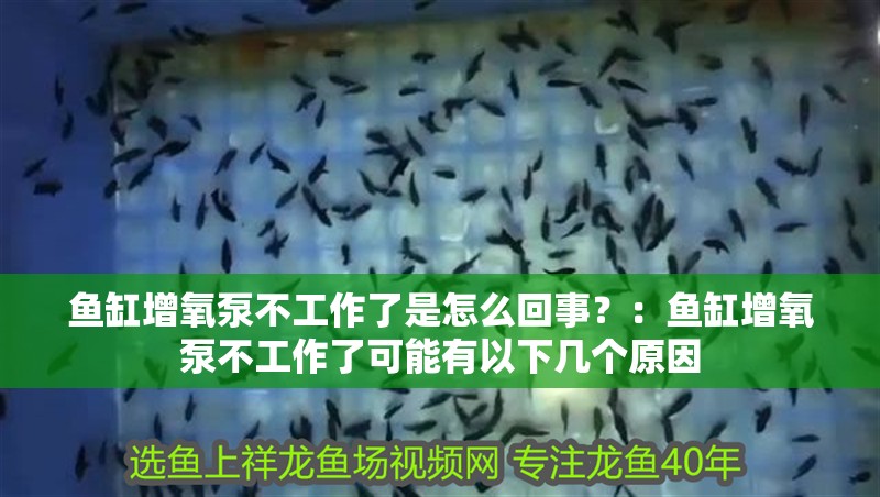 魚缸增氧泵不工作了是怎么回事？：魚缸增氧泵不工作了可能有以下幾個原因