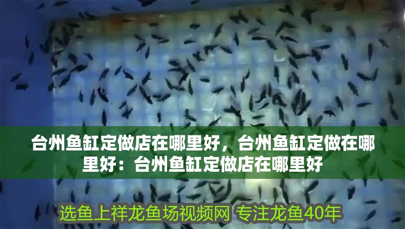 臺州魚缸定做店在哪里好，臺州魚缸定做在哪里好：臺州魚缸定做店在哪里好