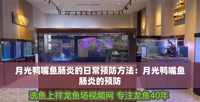 月光鴨嘴魚腸炎的日常預防方法：月光鴨嘴魚腸炎的預防