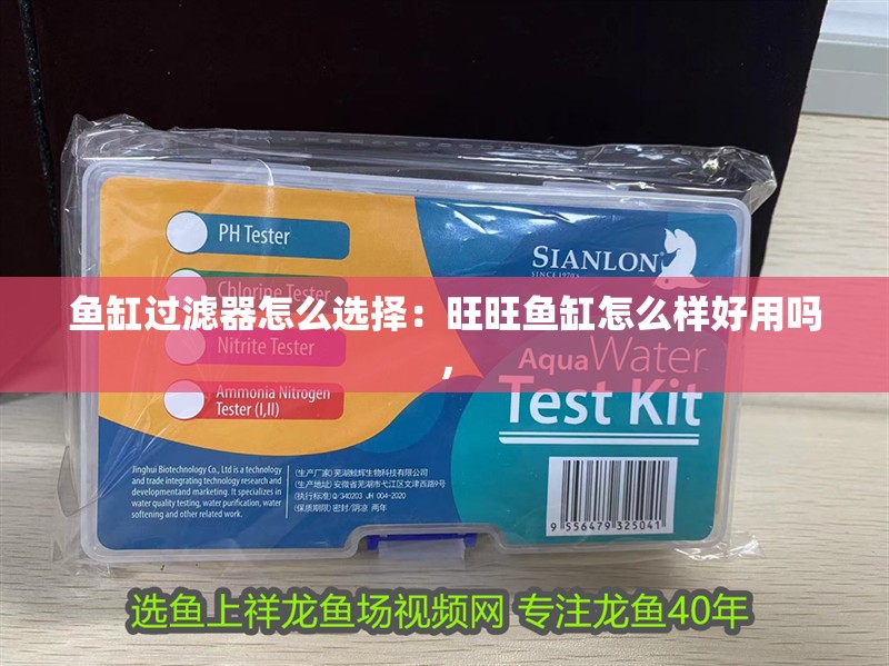 魚缸過濾器怎么選擇：旺旺魚缸怎么樣好用嗎，