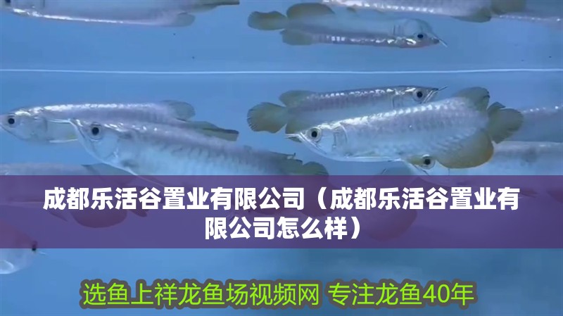 <strong><mark>成都</mark></strong>樂活谷置業(yè)有限公司（<strong><mark>成都</mark></strong>樂活谷置業(yè)有限公司怎么樣）